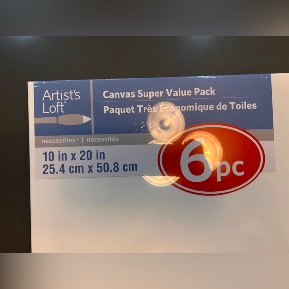 6 Pack Artists Loft 10 x 20 inch Canvases